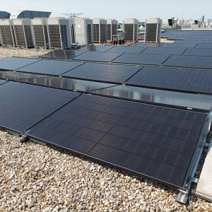 WhatsApp Image 2025-07-22 at 11.12.37